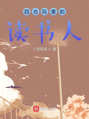 四合院里的读书人漫画封面图片