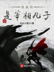我真的是宰相儿子漫画封面图片