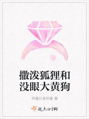 撒泼狐狸和没眼大黄狗漫画封面图片