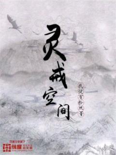 灵戒空间漫画封面图片