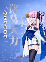 我的未婚妻是诸葛大力漫画封面图片