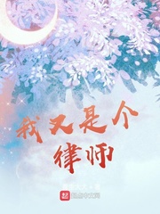 我又是个律师漫画封面图片